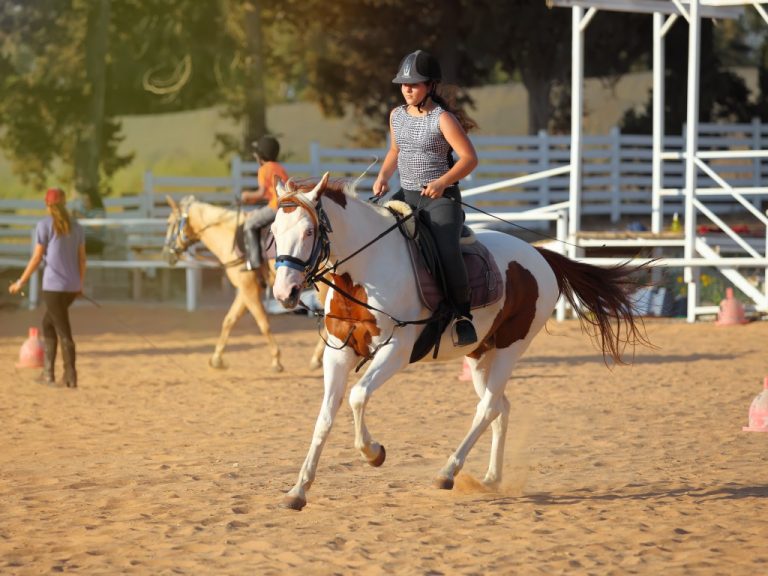 A little girl getting a horseback riding lesson